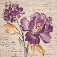 Lilac Beauty II Fine Art Print