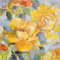 Modern Peonies II Framed Print