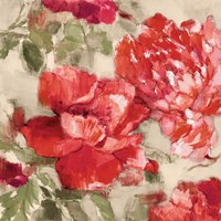 Red Modern Peonies II Framed Print