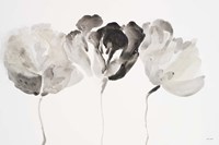 Trio in Light Fine Art Print