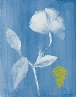 Floral Whisper I Fine Art Print