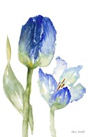 Teal and Lavender Tulips I Fine Art Print