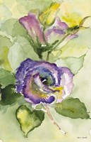Watercolor Lavender Floral II Framed Print