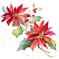 Poinsettias I Framed Print