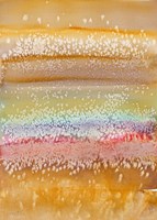 Windy Fine Art Print