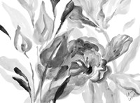 Dark Florals Fine Art Print
