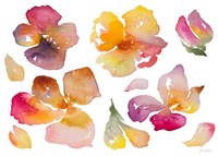 Into Spring Fine Art Print