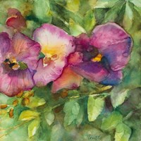 Orchid Garden Fine Art Print