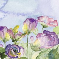 Purple Garden II Framed Print