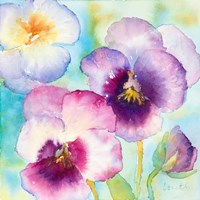 Sunny Side Orchids Fine Art Print