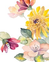 Under Grasse Sky's II Framed Print