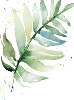 Swaying Palm Fronds II Framed Print