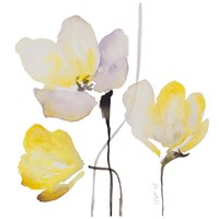 Basking in the Sunshine II Framed Print