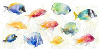 School of Tropical Fish Fine Art Print