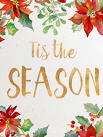 Holiday Poinsettias I Fine Art Print