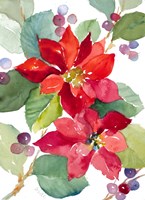 Berry Poinsettias Fine Art Print