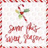 Peppermint Wishes II Framed Print