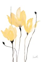 Yellow Sway Fine Art Print