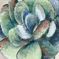 Wonderful Succulent Fine Art Print