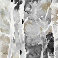 Evening Forest I Fine Art Print