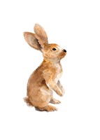 Meadow Buddy I Fine Art Print