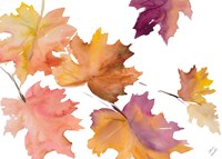 Harvest Leaves I Framed Print