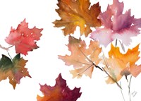 Harvest Leaves II Framed Print