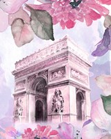 Parisian Blossoms II Framed Print