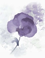 Translucent Mauve Poppy I Fine Art Print