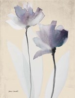 Double Purple Whisper Fine Art Print