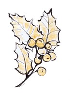 Holly with Berries II Framed Print