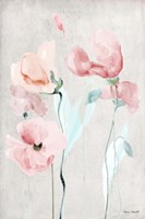 Soft Pink Poppies II Framed Print