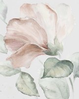 Neutral Hibiscus I Fine Art Print