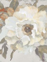 White Peony and Bloom Fine Art Print