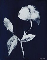 Floral Whisper In The Dark I Framed Print