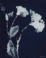 Floral Whisper In The Dark II Fine Art Print