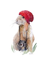 Modern Bunny I Framed Print