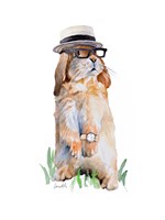 Modern Bunny II Framed Print