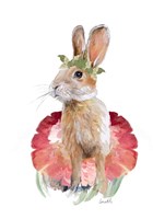 Ballet Bunny I Framed Print