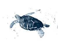 Navy Ink Turtle I Fine Art Print