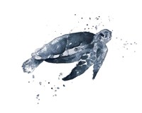 Navy Ink Turtle II Fine Art Print