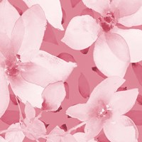 Blooming Pink Whispers I Fine Art Print