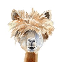 Llama with Bangs Fine Art Print