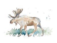 Watercolor Moose Fine Art Print