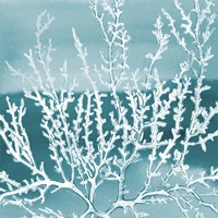 Deep Coral Square I Fine Art Print