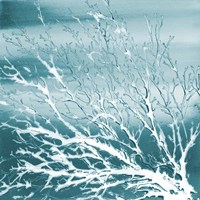 Deep Coral Square II Fine Art Print