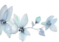 Blue Blooming Whispers I Framed Print