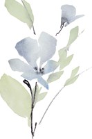 Glowing Blooms I Framed Print