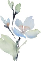 Glowing Blooms II Fine Art Print