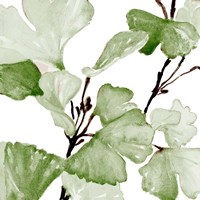 Mint Ginko Stems II Fine Art Print